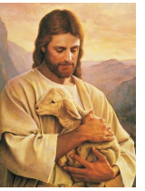 JandLamb